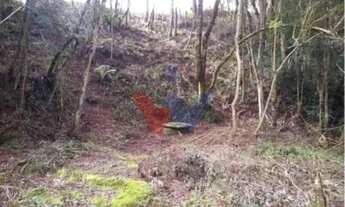 Imagem 5: Terreno para Chácara em Mandirituba 6.050 m Próximo à BR-116