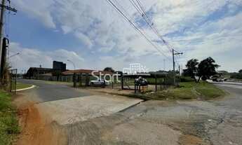 Imagem 3: área - Parque Brasil 500 - Paulínia