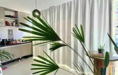 Imagem 2: Apartamento 3 quartos em Praia de Itaparica