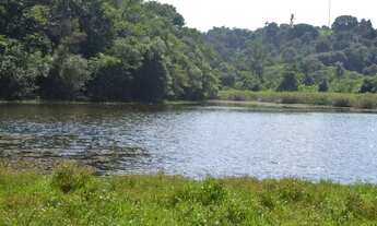 Imagem: Sorocaba Prox. Castelinho 6 Hectares