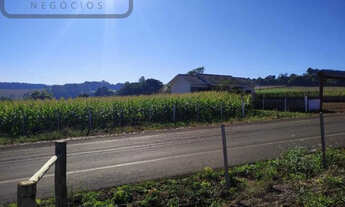 Imagem 3: Terreno Rio Bonito do Iguaçu