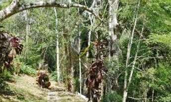 Imagem: Lote/Terreno Quebra Frascos - Teresópolis