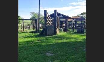 Imagem: Fazenda Top 133 Alqueires ITapuranga 120