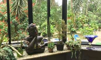 Imagem 6: Para Você se apaixonar