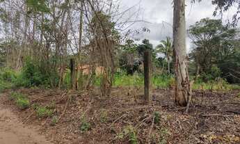 Imagem 5: Terreno Cajupari