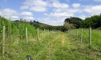 Imagem 3: Vendo Sítio na Estrada de Piacatuba/Leopoldina