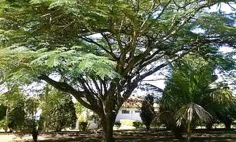 Imagem 2: SITIO 24000 M2 PORTEIRA FECHADA VENDE OU ALUGA