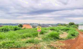 Imagem 3: Vendas Terreno Pato Branco PR