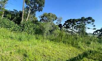 Imagem 3: Terreno à venda em Campo Largo/PR