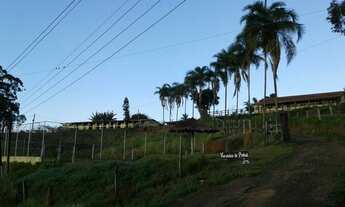 Imagem 2: Sítio Haras Fazenda / sítio com venda por R$1.000.000