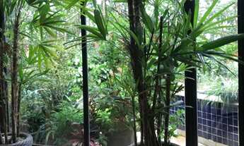 Imagem 7: Para Você se apaixonar