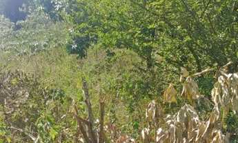 Imagem 7: Chácara no condomínio estancia céu azul - eng. coelho