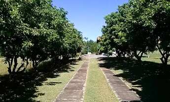 Imagem 7: SITIO 24000 M2 PORTEIRA FECHADA VENDE OU ALUGA