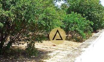 Imagem 4: Terreno à venda, 525 m² por R$ 420.000,00 - Jardim Mariléa - Rio das Ostras/RJ