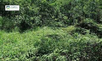 Imagem 5: Chácara à venda em Morretes/PR