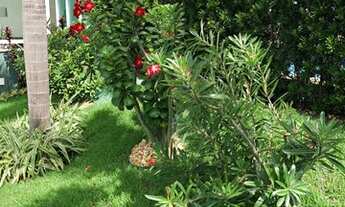 Imagem 4: Apartamento 177m2, 3vgs, andar alto, todo projetado, entrar e morar