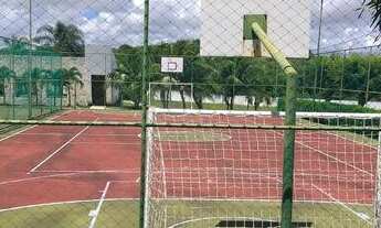 Imagem: Buena vista village