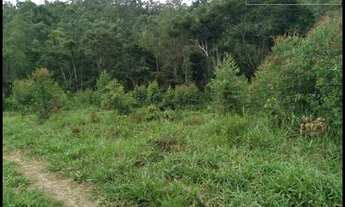 Imagem 2: CHÁCARA  SEM BENFEITORAIS -ROCINHA - GUARATINGUETÁ  SP