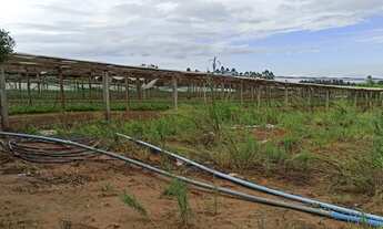 Imagem 5: VENDO SÍTIO EM GRAVATAÍ