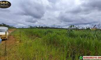 Imagem 2: Vendo Ótimo Sítio, Super Barato