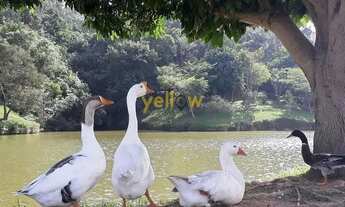 Imagem 5: Casa em Condomínio Hills III - Arujá com 306m² e 3 dormitórios à venda por R$ 3 milhões