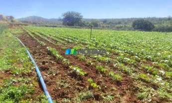 Imagem 2: CORDISBURGO - Fazenda - Zona Rural