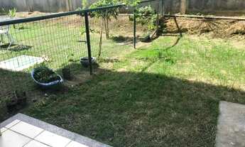 Imagem 1: Aluguel Apartamento Térreo no Condomínio Ideal Torquato - R$ 1.100,00