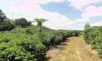 Imagem 4: Venda-se está propriedade de 30 alqueires no Município de Guaçuí/ES