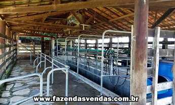 Imagem 5: Fazenda 25,5 alqueires (Corumbá de Goiás) com curral
