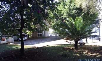 Imagem 4: COMERCIAL - PERDIZES - SP