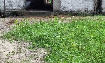 Imagem 6: Sítio com casa em Macaiba-RN