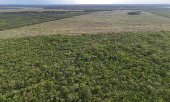 Imagem 2: Vendo fazenda em Cristalândia TO