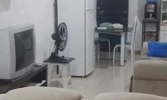 Imagem 5: V/T Casa em regomuleiro grande