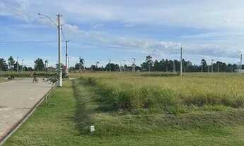 Imagem 5: Terreno Jardim América - Passo de Torres