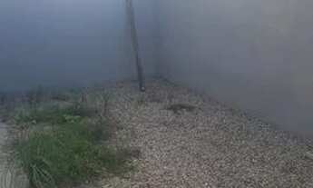 Imagem 5: Casa para venda possui 83 metros quadrados com 1 quarto em Pavuna - Pacatuba - CE