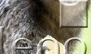 Imagem 6: Casa - Marambaia - Vinhedo