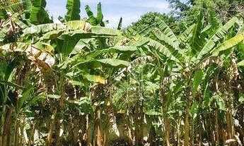 Imagem 4: Casa com 5 dormitórios à venda, 400 m² por R$ 1.200.000,00 - Itaipu - Niterói/RJ