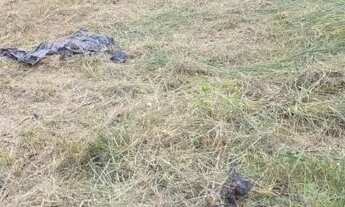 Imagem 3: Terreno no sítio