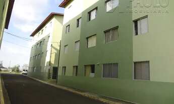 Imagem 2: PIRACICABA - Padrão - MORUMBI