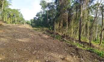 Imagem 4: Uma nova oportunidade para uma nova vida