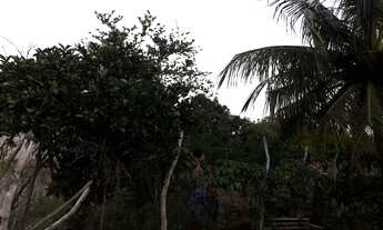 Imagem 2: Vende-se casa Casa com 2 dormitórios