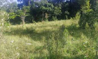 Imagem 4: Terreno para chácara 1000 mtrs - aceito negociar