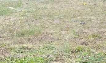 Imagem 6: Terreno no sítio