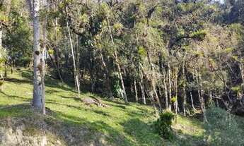 Imagem 7: Terreno em Clube de Campo, Divisa Joinville/SC x Campo Alegre/SC
