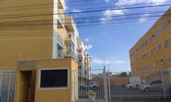 Imagem: SãO JOSÉ DOS PINHAIS - Padrão - afonso