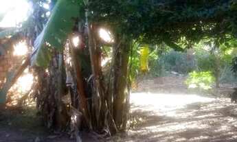 Imagem 4: Casa em Demerval Lobão