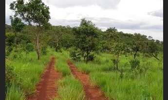Imagem 2: Fazenda 216 Alqueires Bruta Luzimangues