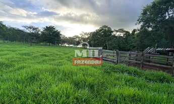 Imagem 2: Chácara 2 alqueires (9,68 hectares) Avelinópolis - Go