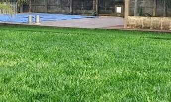 Imagem 5: Vendo sítio Chácara com venda por R$600.000