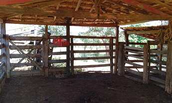 Imagem 2: Sitio/Água de Rio,Poço Artesiano,Casa Com 4 Quartos,Curral/Escriturado.